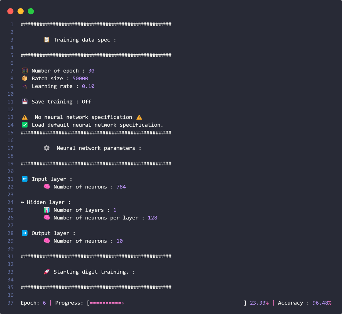 Image of the Neural Network Training